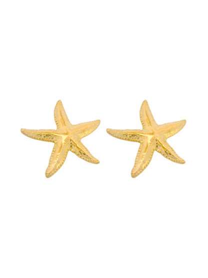Aretes estrella de mar